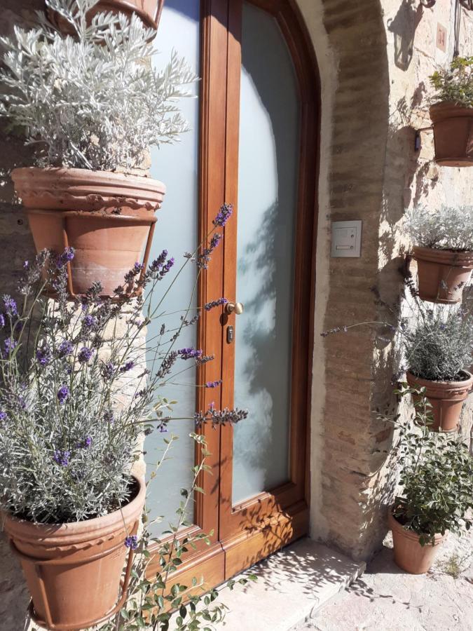 B&B San Francesco Assisi Eksteriør bilde