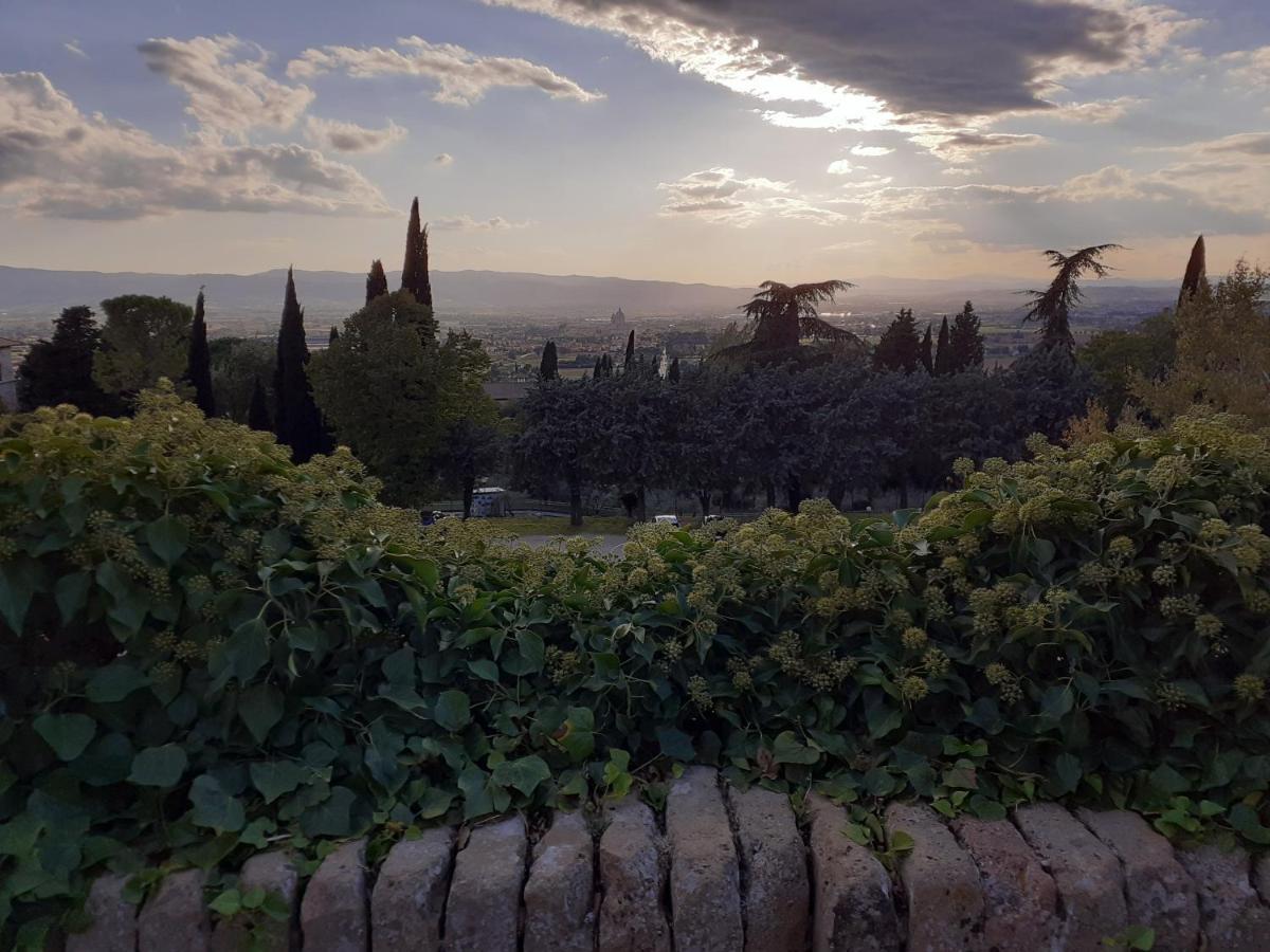 B&B San Francesco Assisi Eksteriør bilde