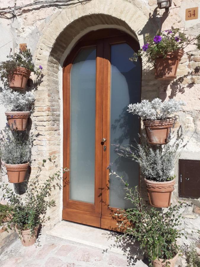 B&B San Francesco Assisi Eksteriør bilde